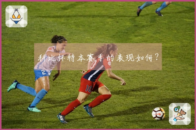 科比怀特本赛季的表现如何？