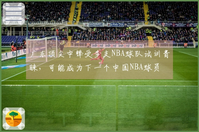广东顶尖中锋受多支NBA球队试训青睐，可能成为下一个中国NBA球员