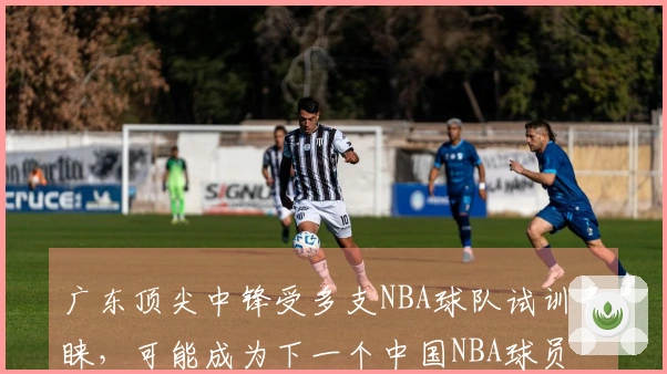 广东顶尖中锋受多支NBA球队试训青睐，可能成为下一个中国NBA球员